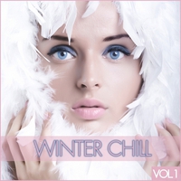 Картинка материала VA - Winter Chill Vol.1 2011
