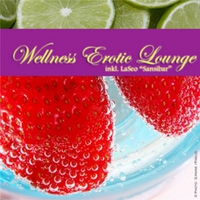 Картинка материала VA - Wellness Erotic Lounge 2010