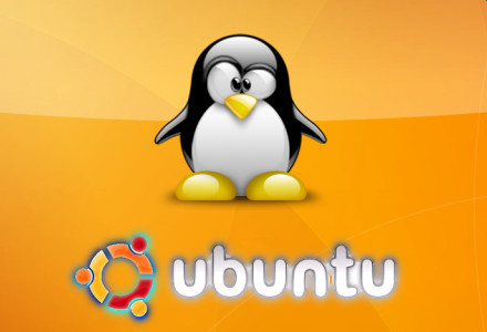 Скрин Ubuntu 11.04 Rus